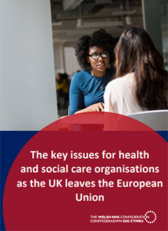 The Key Issues For Health And Social Care Organisations As The Uk Leaves The Eu Nhs Confederation